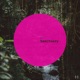 Sanctuary Single