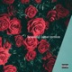 Beautiful Single