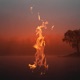 Gasoline on the Water Single