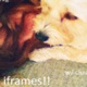 iframes feat cluu Single