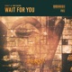 Wait For You Single