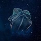 Love Single
