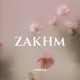Zakhm Single