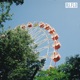 Let It Loop Single