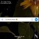 La Vida Es Buena feat Andres Nava Single