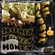 Honey Single