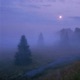 silent village Single