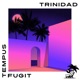 Tempus Fugit Remixes Single