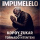 Impumelelo feat Tornado Ntenteni Single