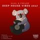 Deep House Vibes 2017 Single