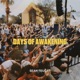 Days of Awakening Live