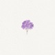 forever and a day more EP