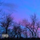 DREAMS Single