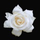 ALGO MAIS QUE FLOR FEIA Single