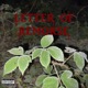 Letter of Remorse Single