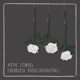 Colorless Roses Acoustic Single