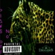Play off No Single