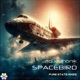 Spacebird Pure State Mixes Single