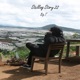 Stelling Story 22 Single