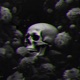 infected Single