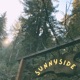 Sunnyside Single