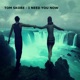I Need You Now Single