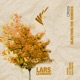 Injection The Remixes Single