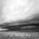 Arcus Single