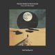 Dust and Moonlight Single