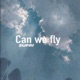 Can we fly Single