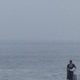 Miss You feat Ashwin FEEMAN7000 Single