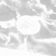 angel s egg Single