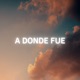 A Donde Fue Single