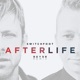 Afterlife feat Switchfoot Reyer Remix Single