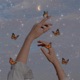 mariposas en la tripa Single