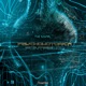The Signal Single