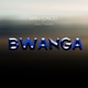 Bwanga feat Dully Sykes Single
