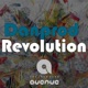 Revolution Single