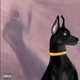 Issa Dog feat Savannah Single