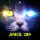 Year of the Cat Single