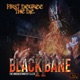 Black Bane 2 The Underestimated Villain