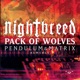 Pack of Wolves Pendulum Matrix Remixes Single
