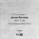 Want to Be The Unreleased Mixes Part 2 EP