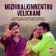 Mizhikalkinnenthu Velicham From Vismayathumbathu Single