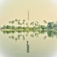 A Journey Through the Pantanal Single