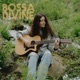 Bossa Divine