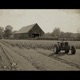 Smells Of a Farm Single