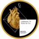 Bodas De Oro Single