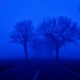 night drive Single
