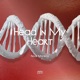 Head in My Heart Extended Mix Single